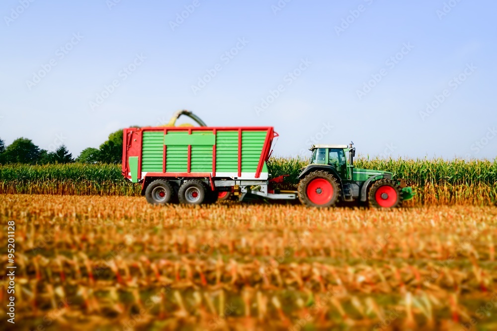 Fototapeta premium Traktor mit Erntewagen bei der Maisernte
