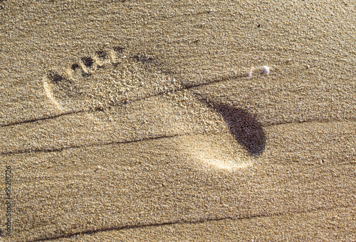 Imprint barefoot child feet in the sand photo