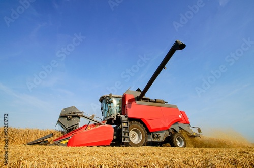 Roter M  hdrescher am dreschen