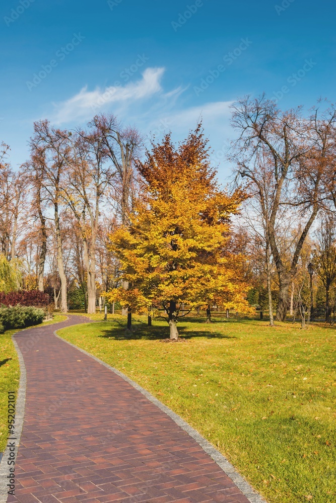 Naklejka premium Осенний пейзаж