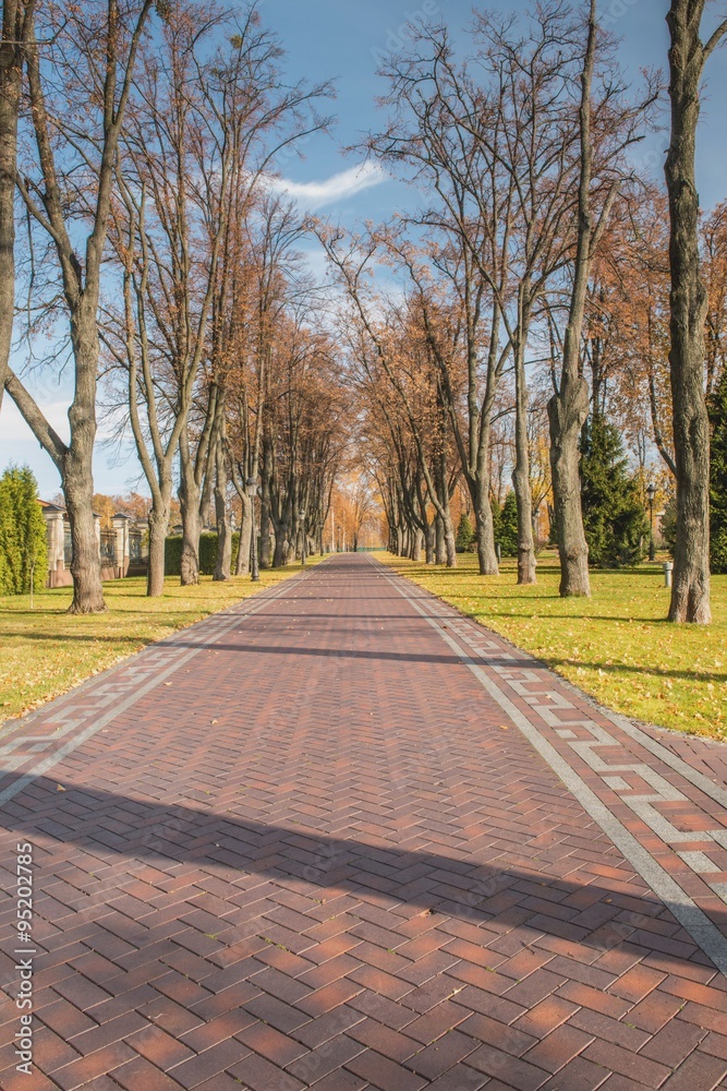 Fototapeta premium Красивая аллея в осеннем парке