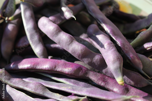 lilac pods of haricot photo