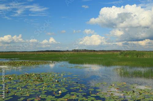 St. Marks National Wildlife Refuge