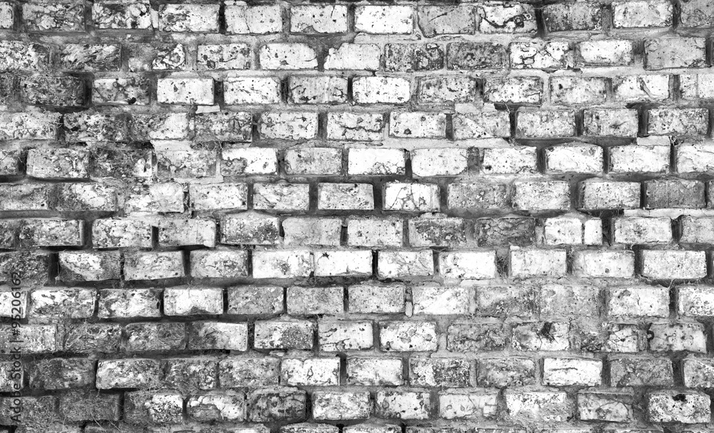 Fototapeta premium Ściana, mur z cegieł