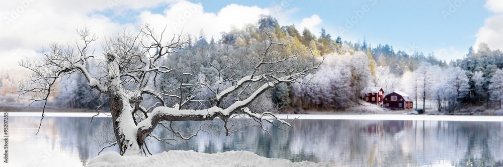 Tree in winter landscape - obrazy, fototapety, plakaty 