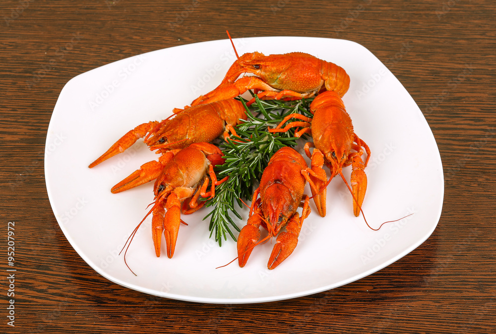 Crayfish Crayfish