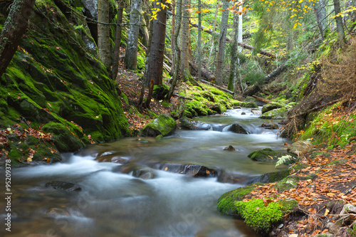 River in the mountains of Bulgaria