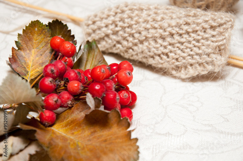 knitting beige and red berries © Alikssa