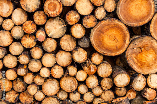 Stack of logs