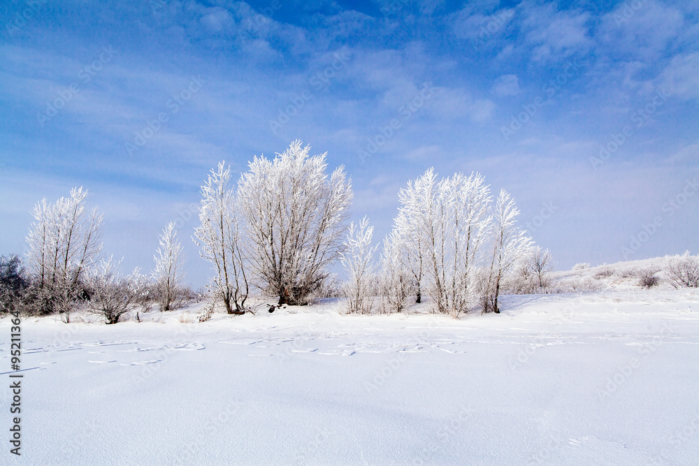 frozen lake with snow
