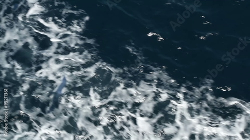 Ferry on the open sea - View on the sea from a boat