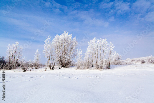 frozen lake with snow © shevtsovy