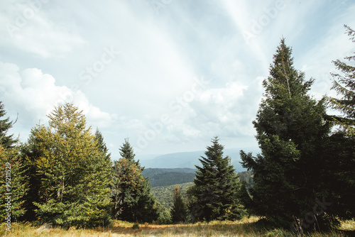 beautiful amazing landscape of sunny mountains, forest, sky and