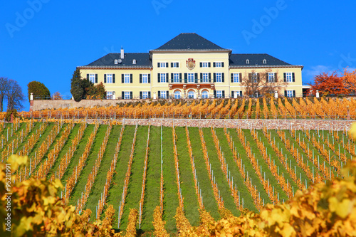 Schloss Johannisberg im Rheingau (November 2015) photo