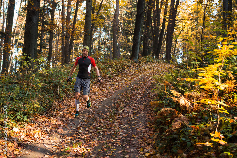 Obraz premium trail runner with poles training on the wide track in the forest