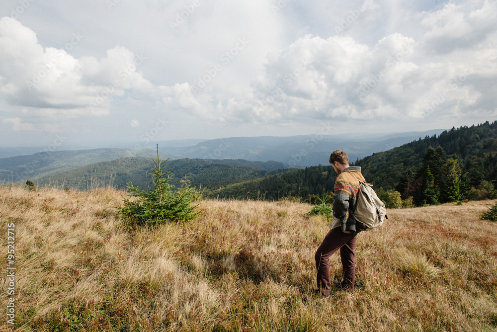 beautiful amazing landscape of sunny mountains, forest, sky and beautiful amazing landscape of sunny mountains, forest, sky and