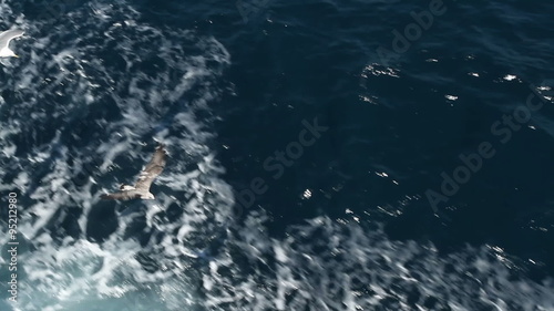 Ferry on the open sea - View on the sea from a boat