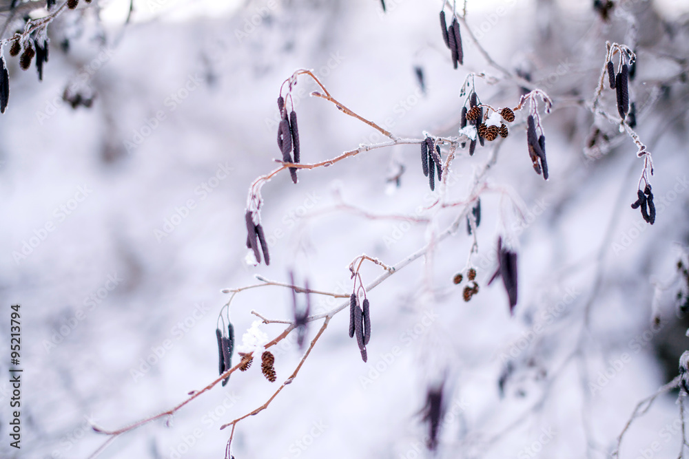 frozen trees branch macro frozen trees branch macro