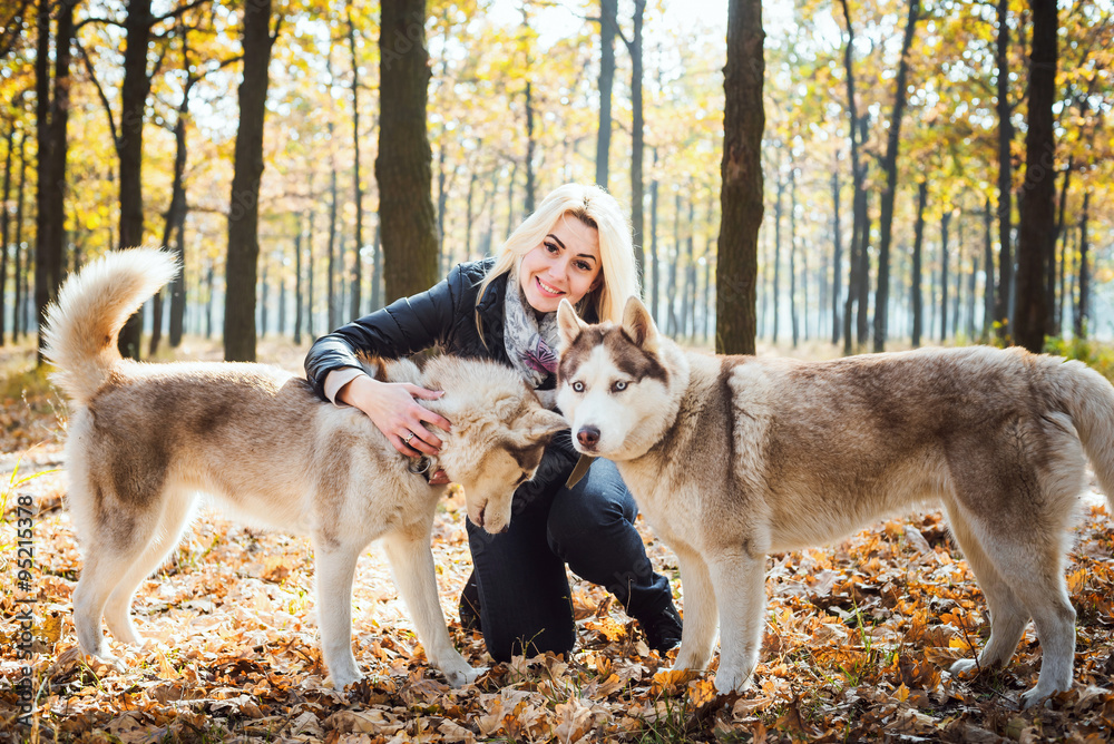 young beautiful female having fun with siberian husky in autumn park young beautiful female having fun with siberian husky in autumn park