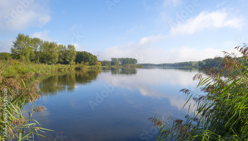 Shore of a lake below a blue cloudy sky in autumn