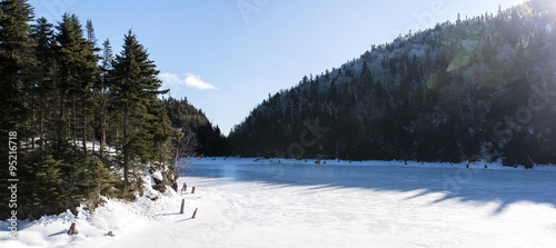 frozen lake under the winter sun in the middle of a forest of pins photo