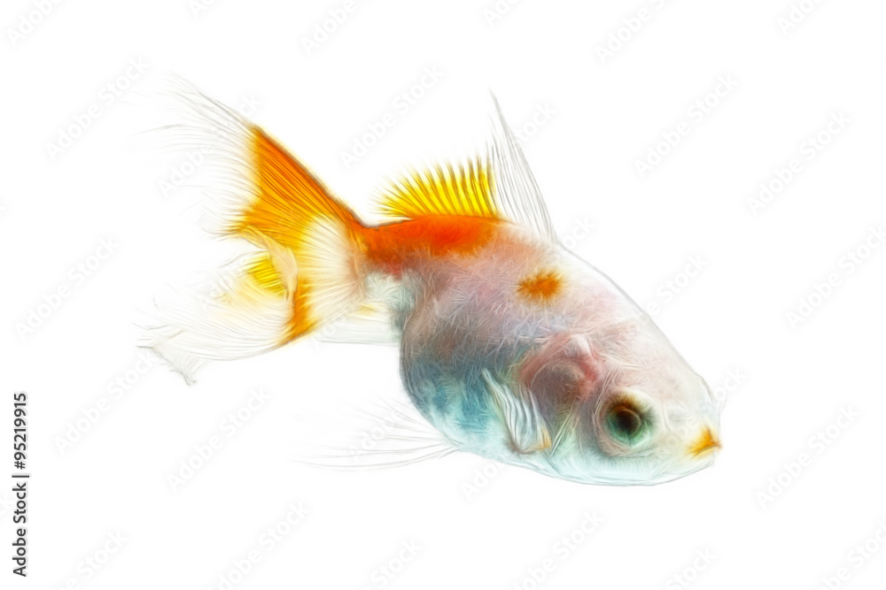 Fototapeta premium Goldfish Fractals Isolated On White