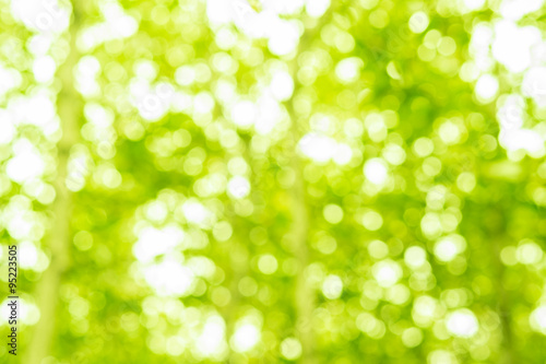 Green bokeh glitter defocused lights abstract background.