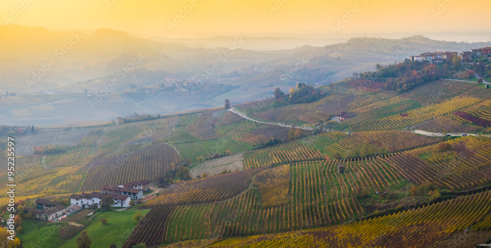 Vista panoramica delle colline e dei vigneti delle Langhe in autunno