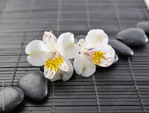 White frangipani with zen stones on bamboo mat