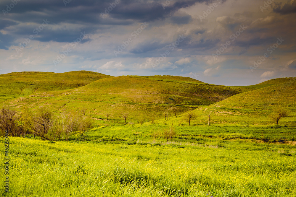 Fototapeta premium Iraqi landscape in spring season