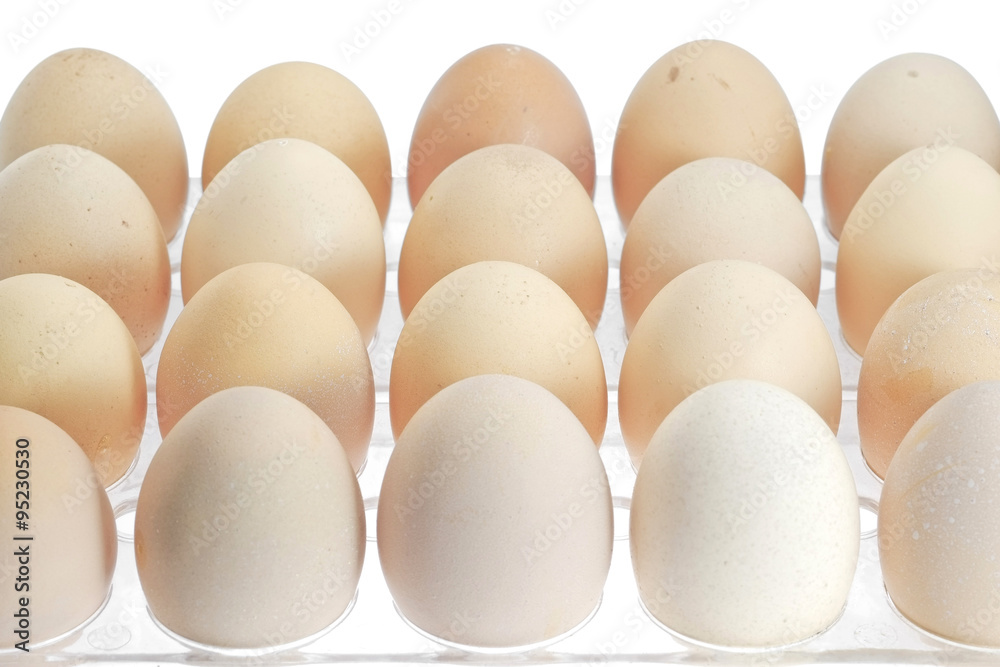 Eggs/Eggs in package isolated on white background. Eggs/Eggs in package isolated on white background.