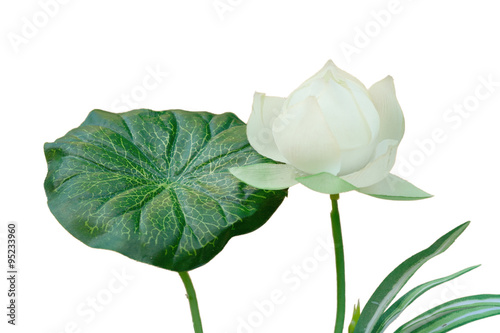 Artificial lotus isolate on white background
