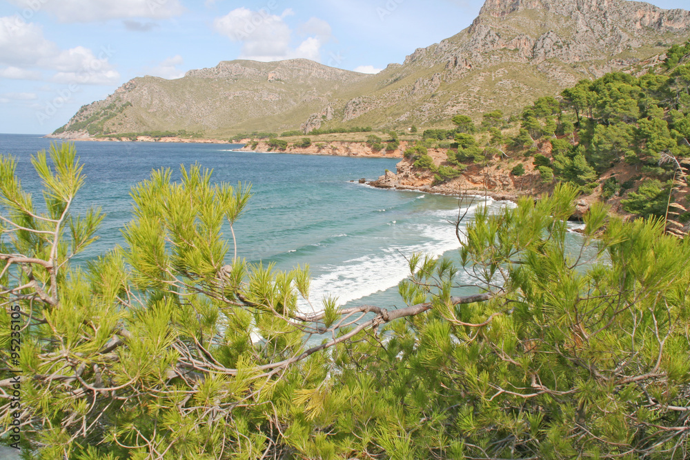 Fototapeta premium behind the sea