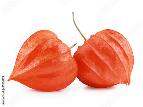 Physalis