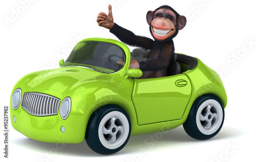 Photography Fun monkey