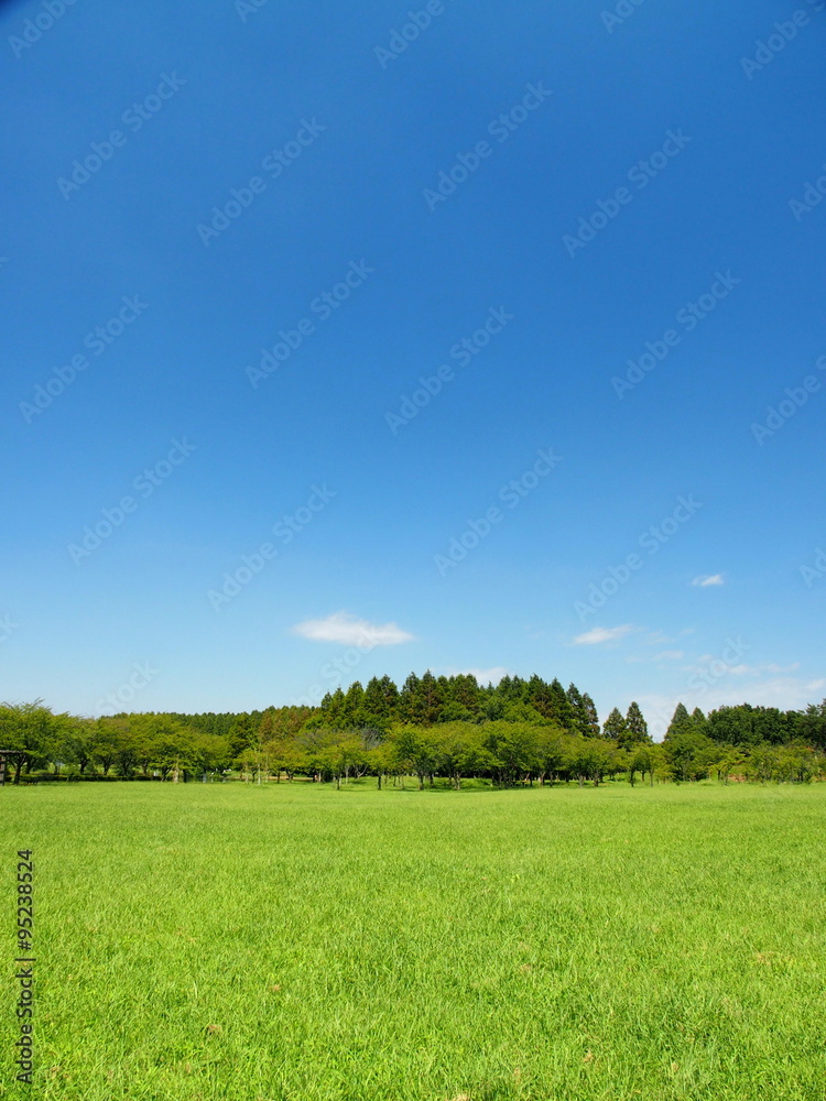 Obraz premium 草原と林のある秋のみさと公園風景