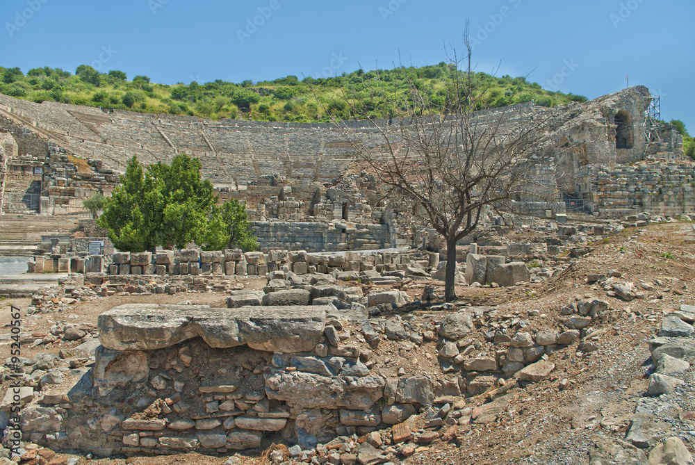 ancient amphitheater ruins with old dry tree