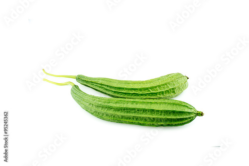 Fresh mature angled luffa vegetables isolated against white back