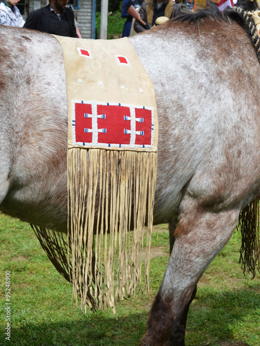 indian saddle photo