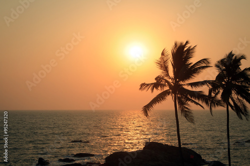 Palm Trees Silhouette At Sunset