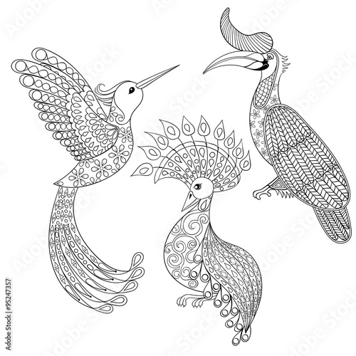 Wallpaper Mural Coloring page with Bird Rhinoceros, Hummingbird and exotic bird, Torontodigital.ca