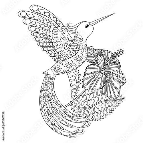Coloring page with Hummingbird in hibiskus, zentangle illustarti