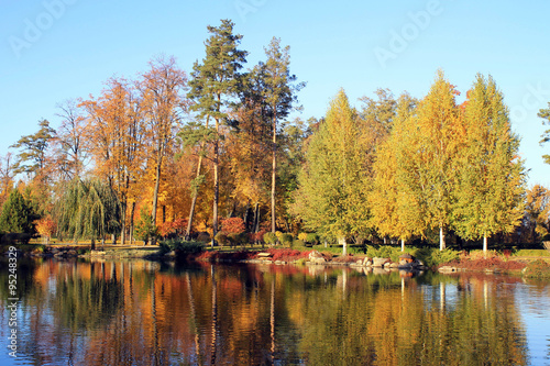 Colorful autumn trees reflected at the pond