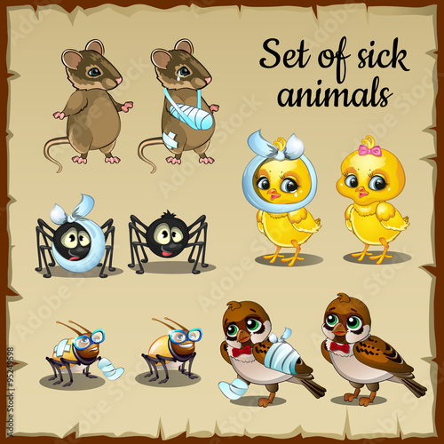 Sick and healthy animals complaints
