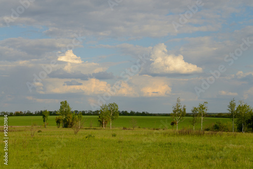 The flat landscape, clouds floating over the field, summer