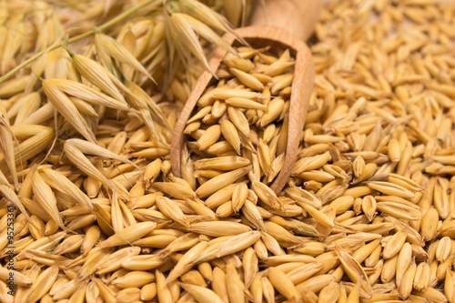 oat grain closeup