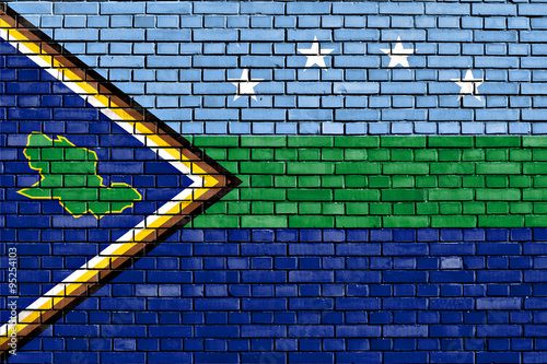 flag of Delta Amacuro State painted on brick wall photo