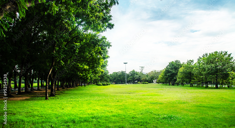 park in city landscape