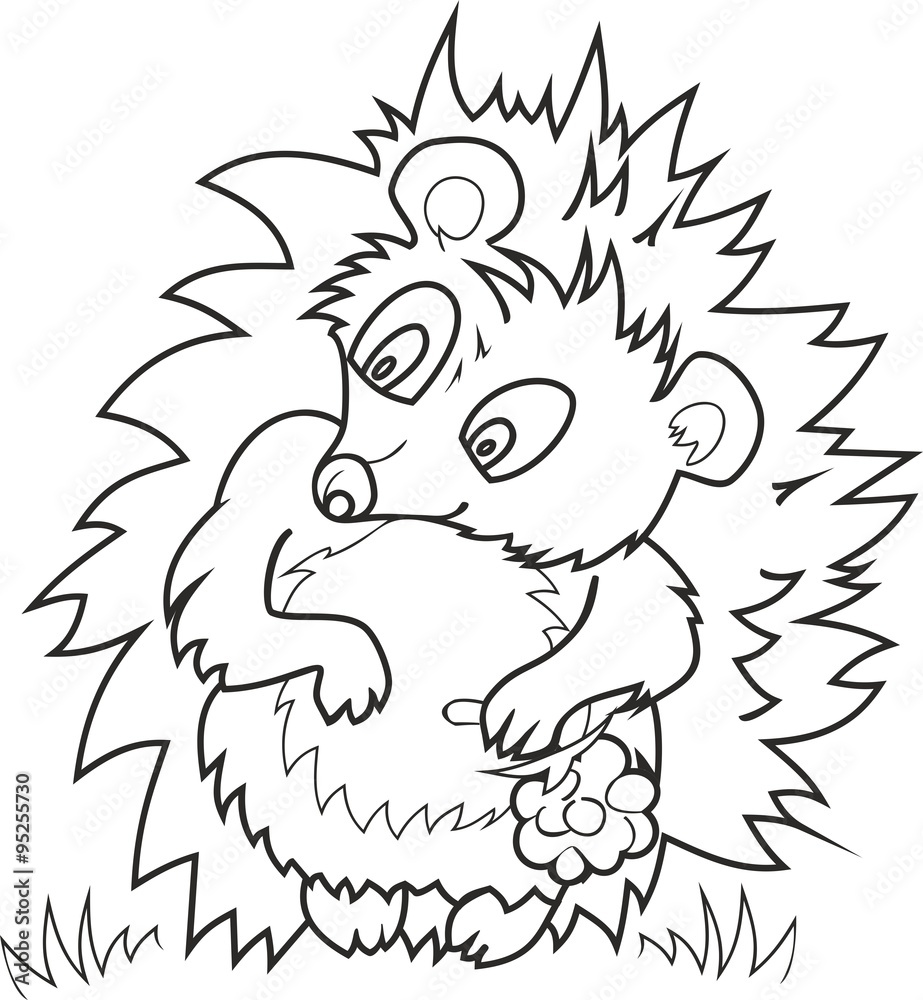 Fototapeta premium Farbowanie słodkim jeżem i maliną