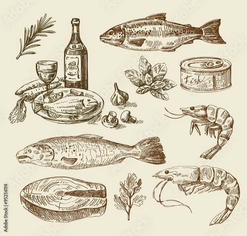 hand drawn sea food sketch